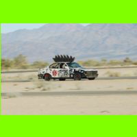 481 - LeMons Chuckwalla 2012.jpg